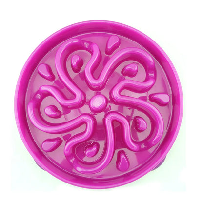 Slow Feeding Pet Bowl