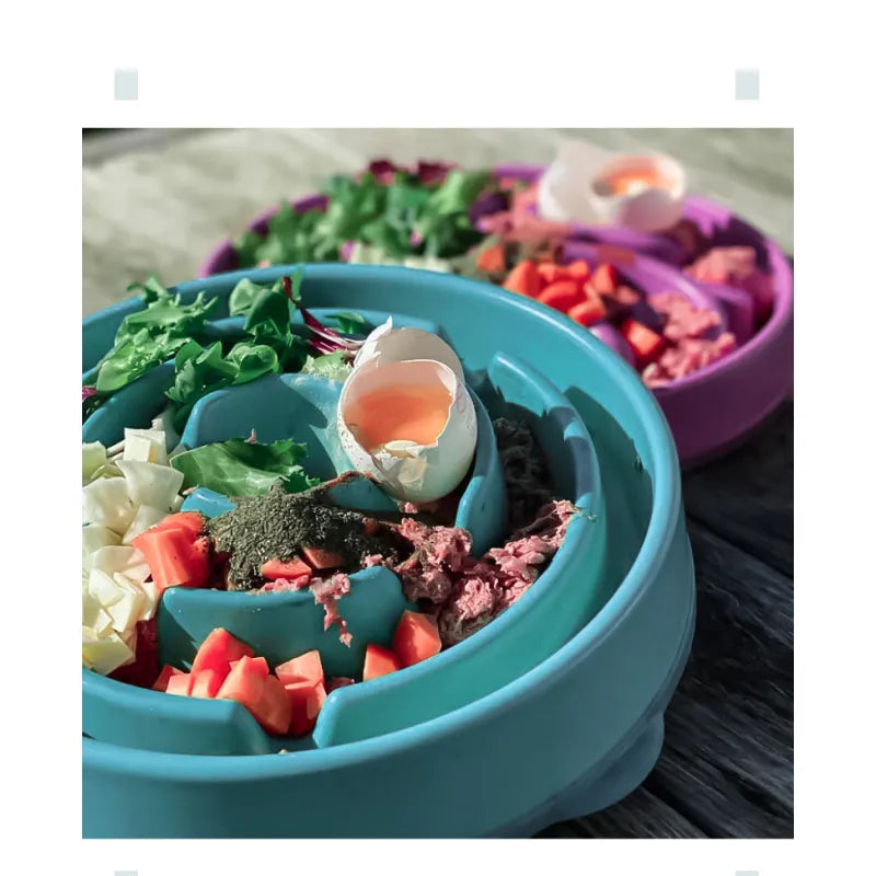 Slow Feeding Pet Bowl